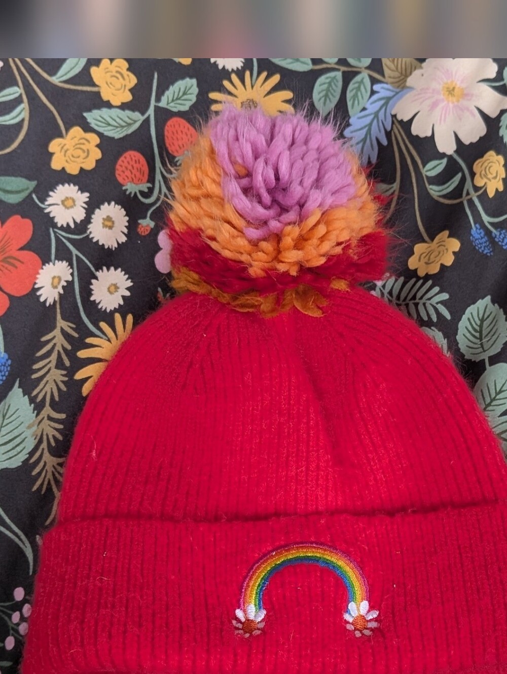 Cat &Jack Rainbow Fleece Lined Hat Red